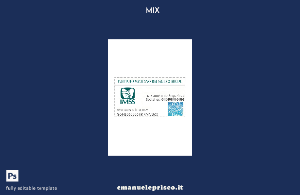 modello di carta NSS Messico in stile verificato